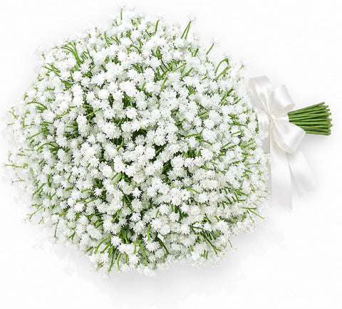 DEEMEI front pack of white baby’s breath showing quantity and tidy stems for easy use