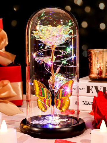 DEEMEI front view glass dome showing elegant gift presentation and lasting decor