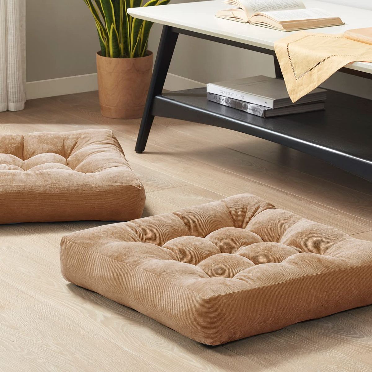 Degrees of Comfort front view showing two square cushions and clear shape benefit