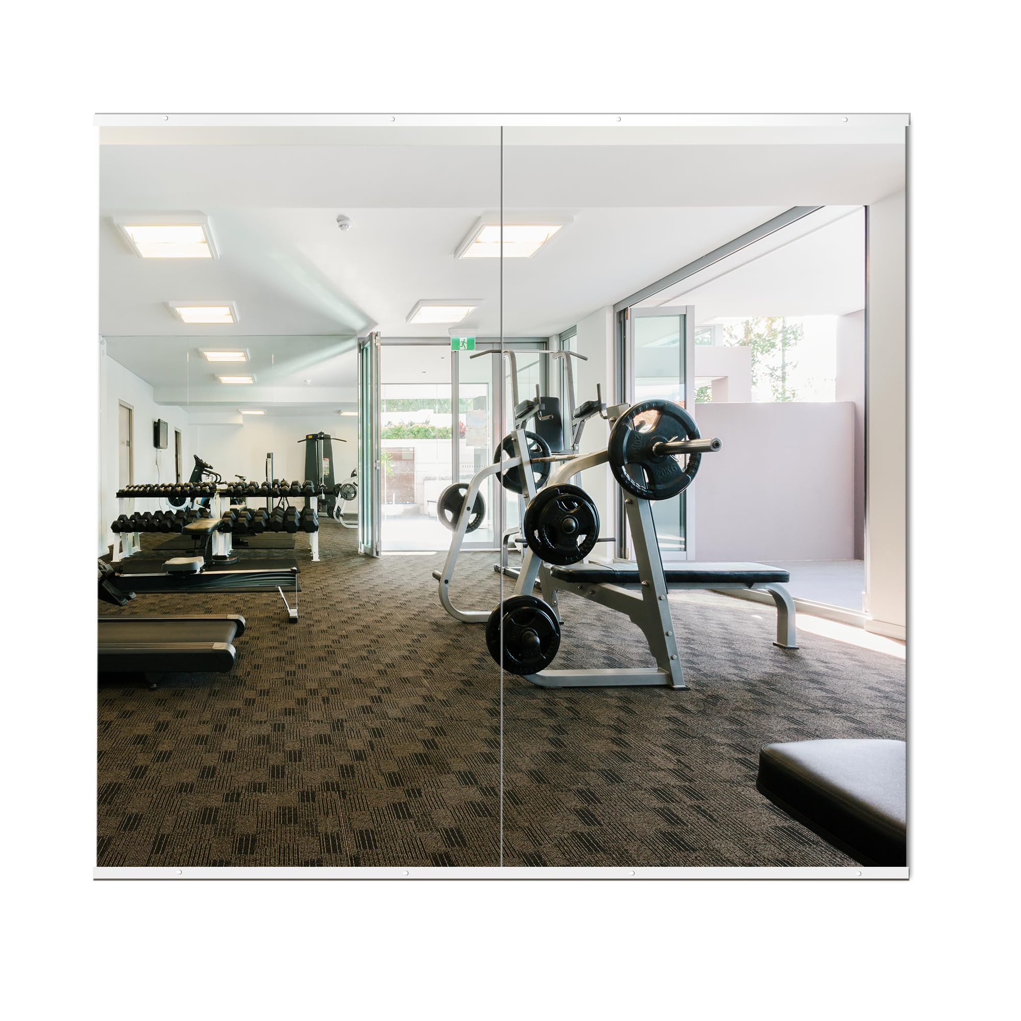 Delma front view of two 54x30 mirrors showing clear reflections and space benefit