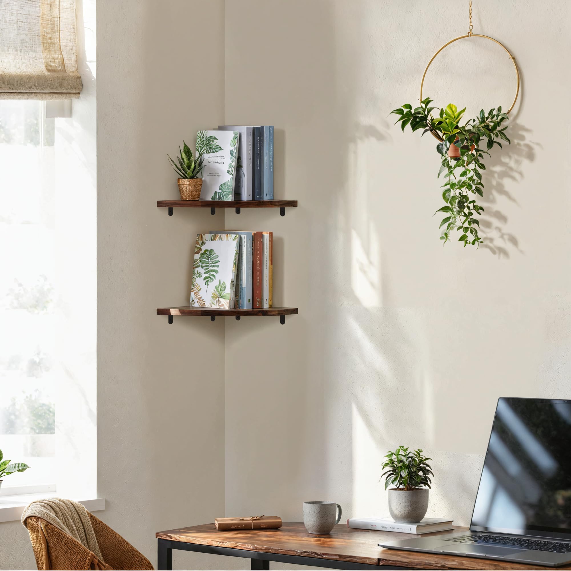 Demigo shelf beside book for scale showing compact footprint and useful storage