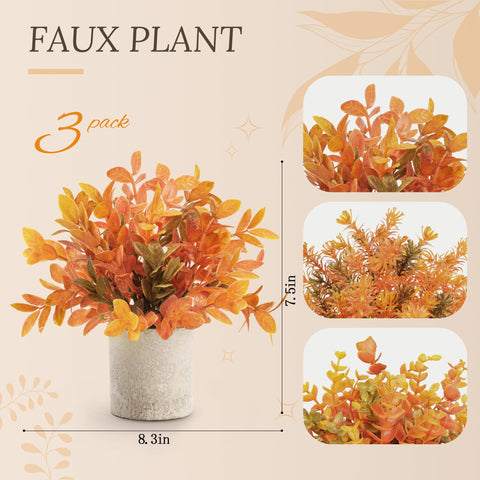 Der Rose paper-pulp pot detail showing craft finish and dry-storage benefit