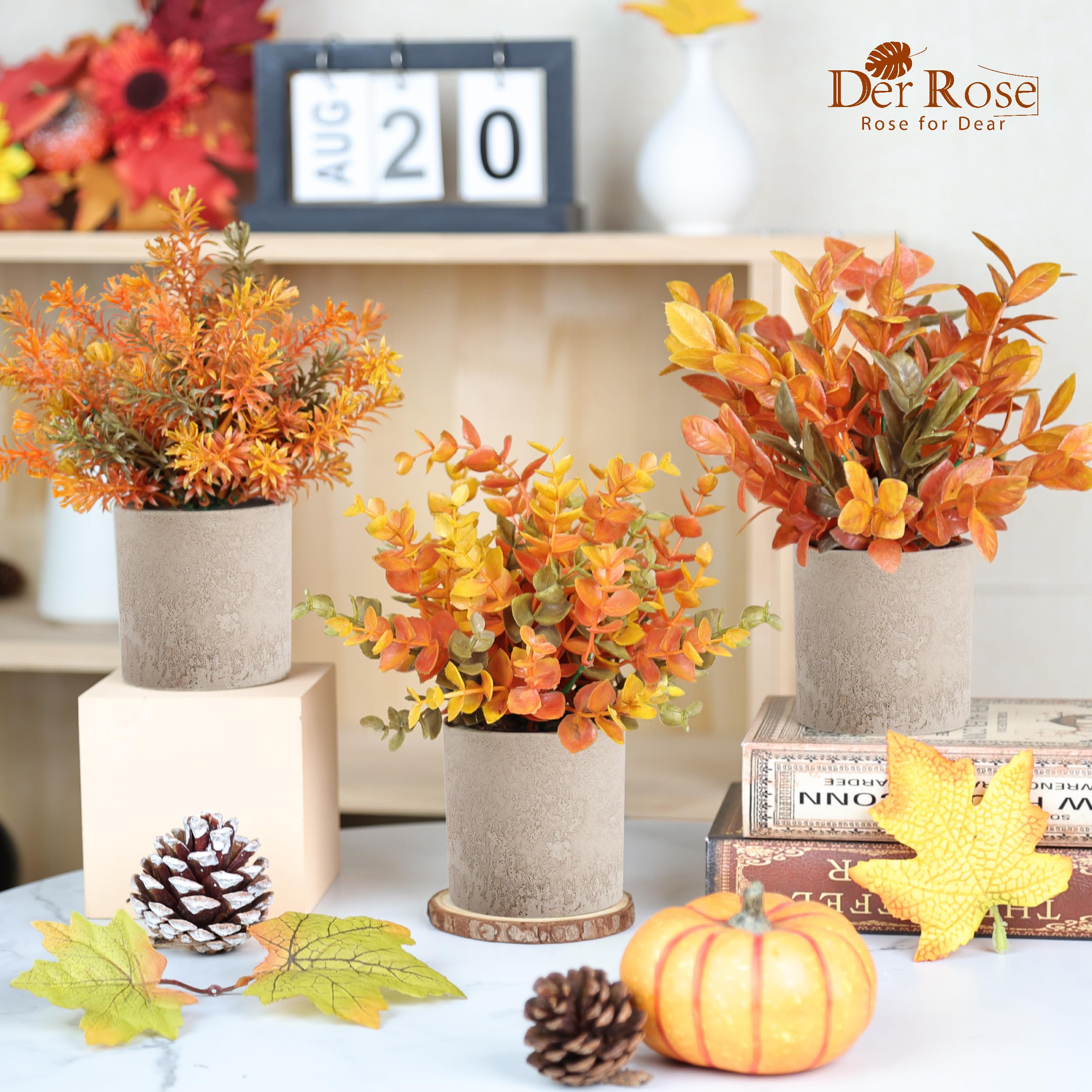 Der Rose hand holding the plant showing compact 7.5 inch scale convenience