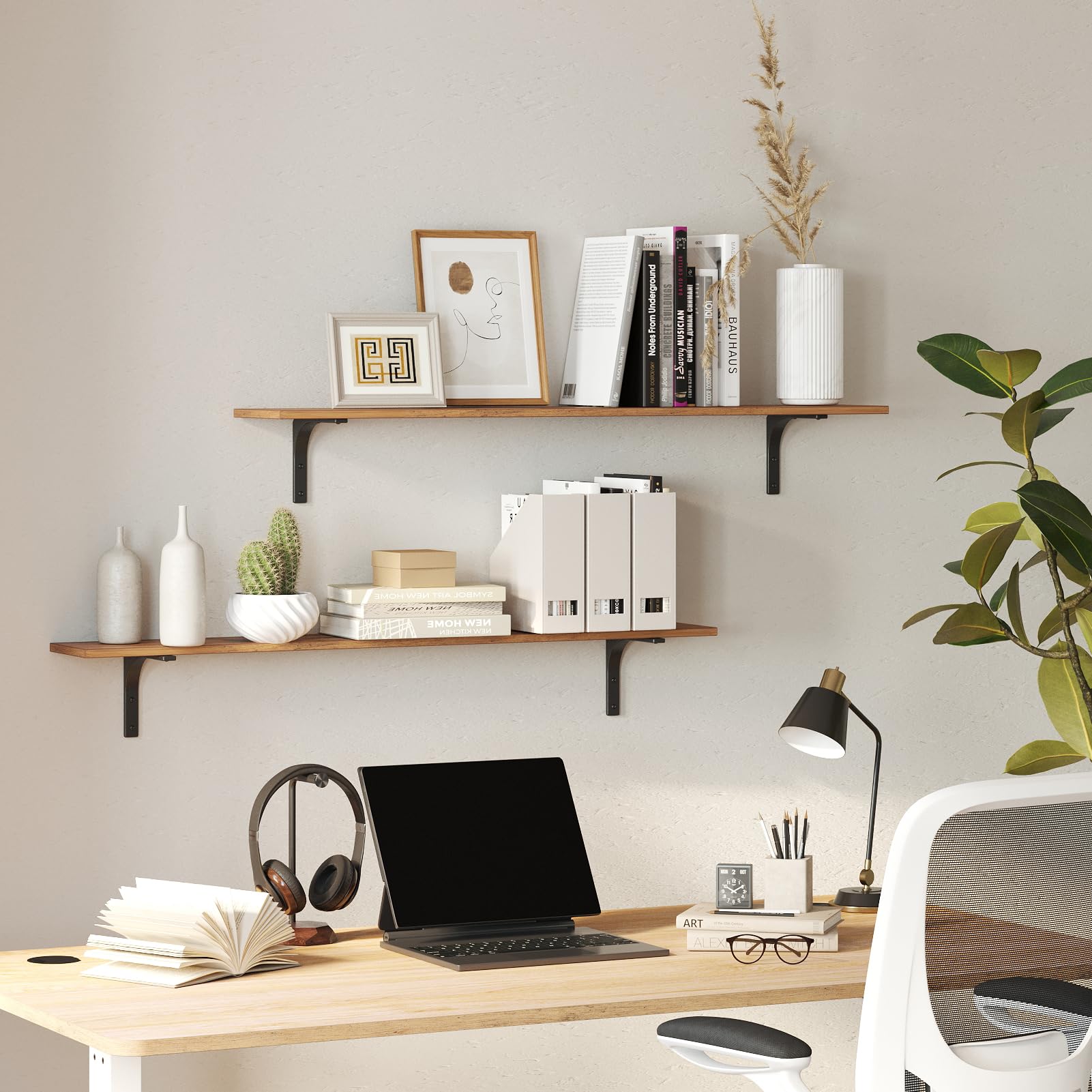 DINZI LVJ size comparison with books and plants to show real-world scale