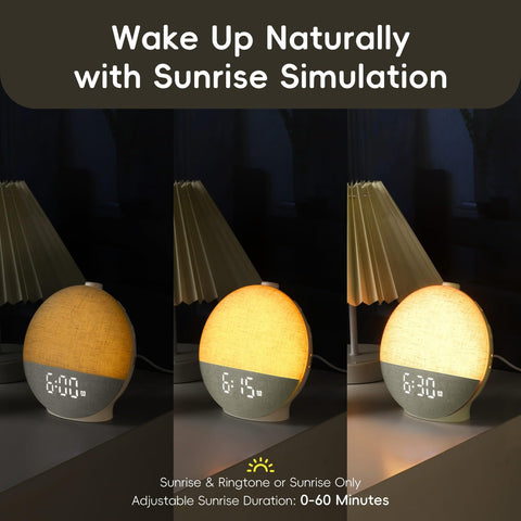 Diol Tode illuminated showing twelve night-light color options