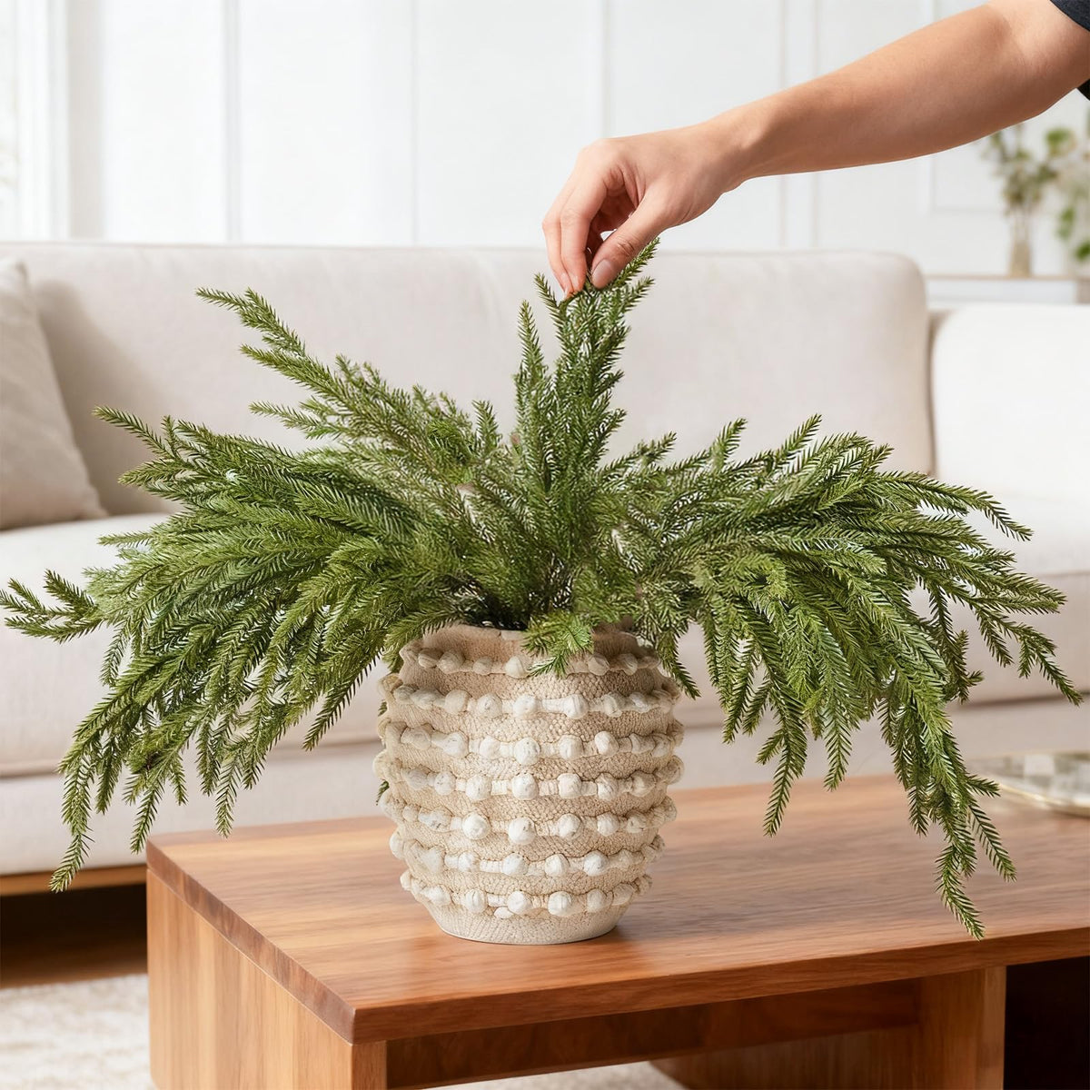 DN DECONATION front packaging displaying six 35.4" Norfolk pine stems, ready to decorate
