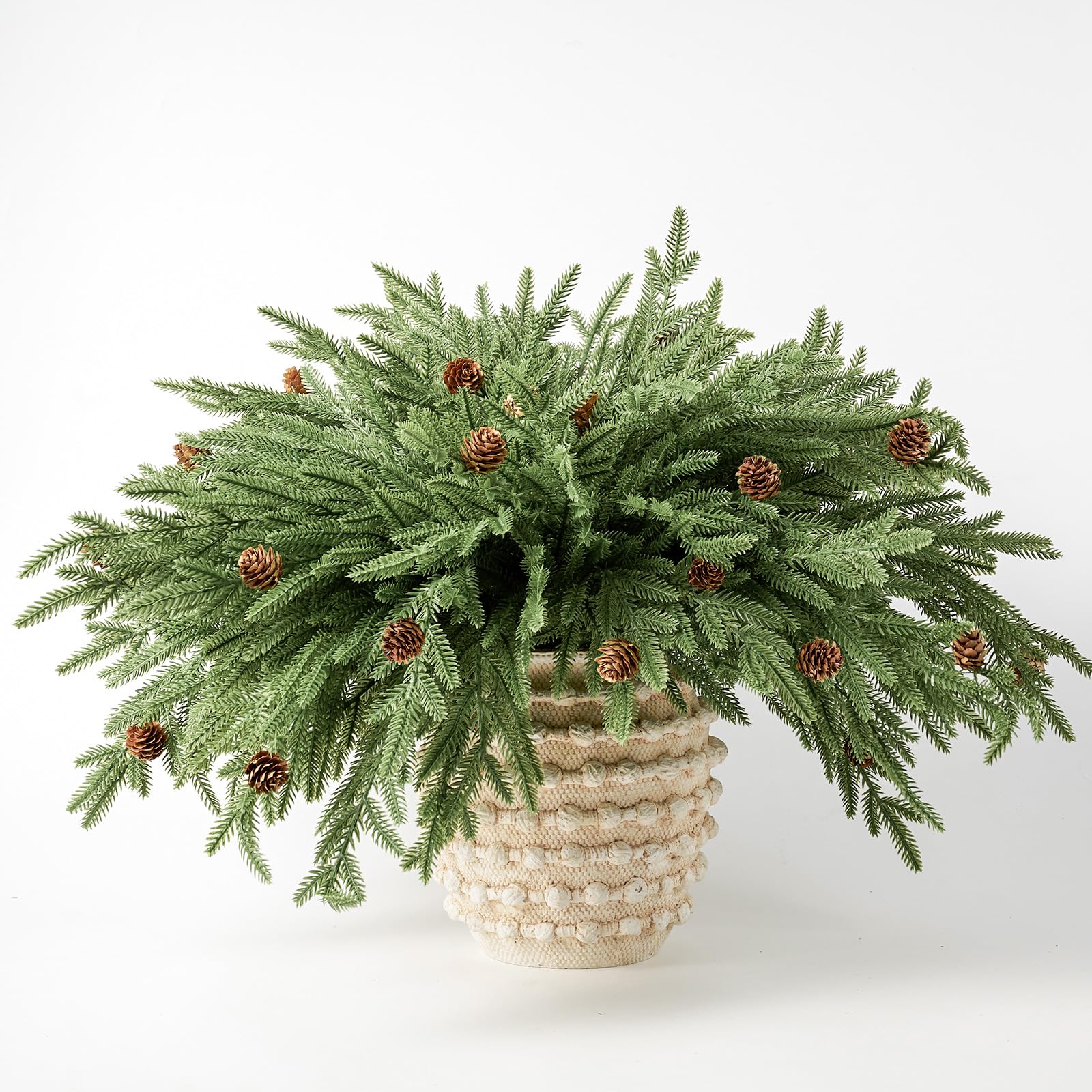 DN DECONATION front packaging showing 12 stems and cones, convenient storage benefit