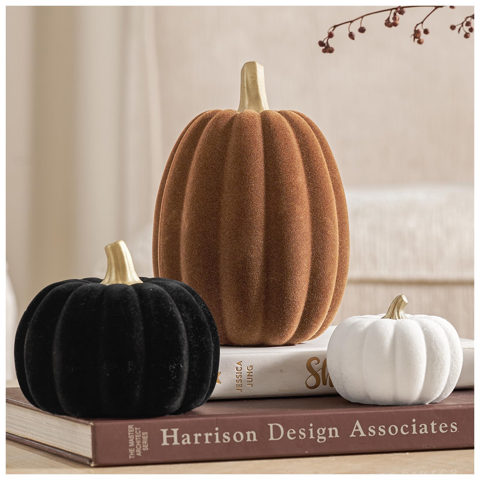 DN DECONATION front view of three pumpkins showing color trio and shape benefits