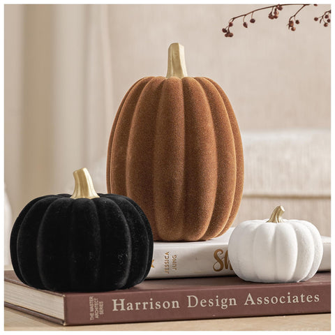 DN DECONATION front view of three pumpkins showing color trio and shape benefits