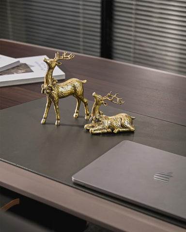 DN DECONATION gift-ready boxed pair illustrating presentable packaging benefit