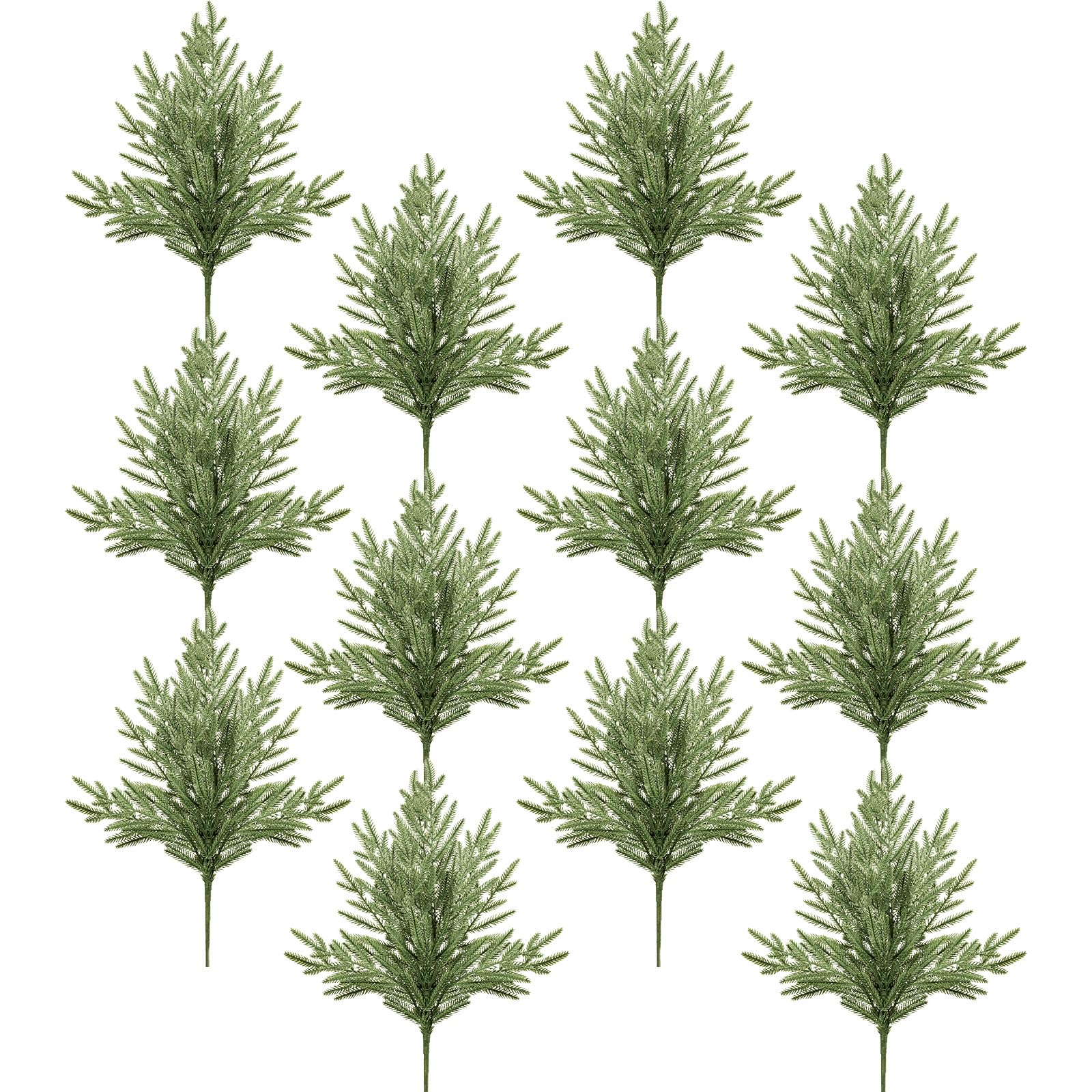 DN DECONATION twelve stems laid out to show consistent color and bundle quantity