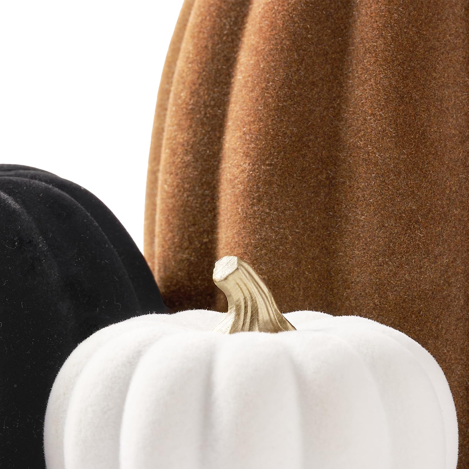 DN DECONATION pumpkins next to hand for size comparison and easy placement