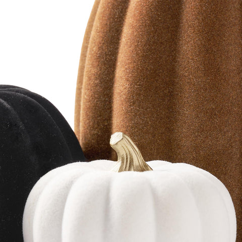 DN DECONATION pumpkins next to hand for size comparison and easy placement