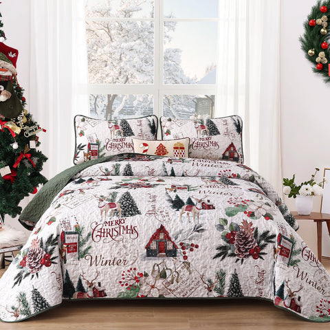 Dobuyly front view of quilt packaging showing festive holiday design and easy setup benefit