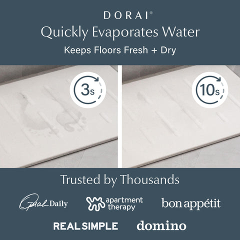 Dorai closeup texture of diatomaceous earth surface for fast moisture absorption