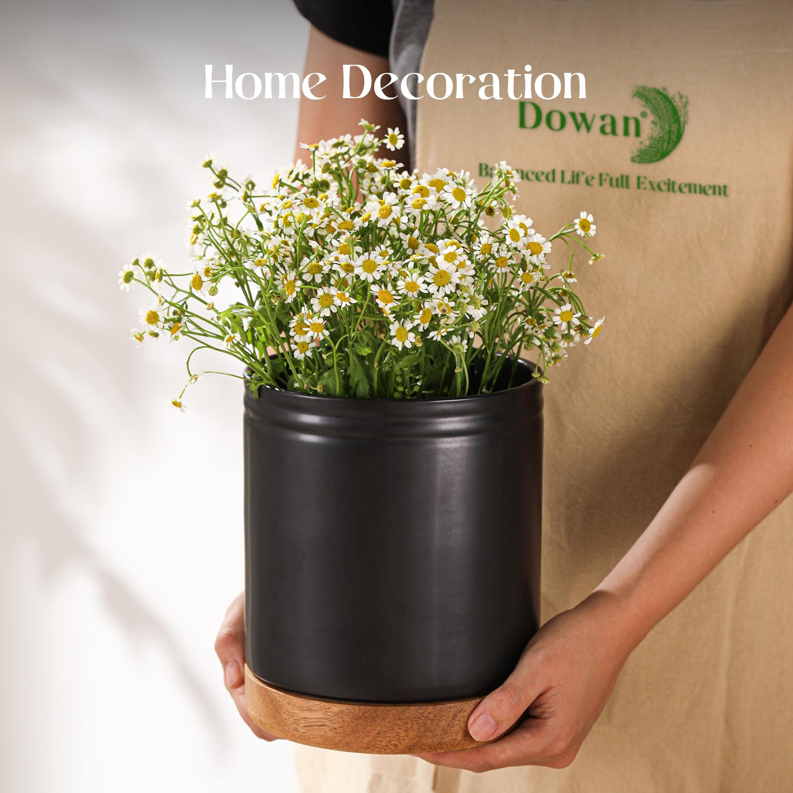 DOWAN holder repurposed as a planter with herbs offering decorative versatility