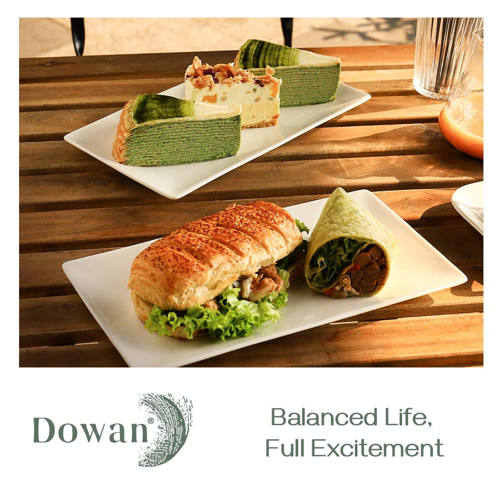 DOWAN plate held in hand to show scale and comfortable serving benefit