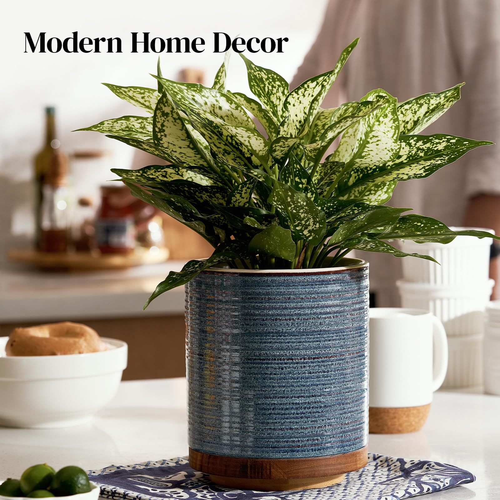 DOWAN used as planter decor showing versatility and aesthetic appeal