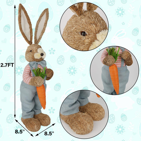 DR.DUDU bright carrot accent adding cheerful color to display