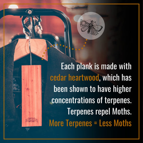 Dr. Killigan's cedar plank hung between shirts on a closet rod, keeps clothes moth-free