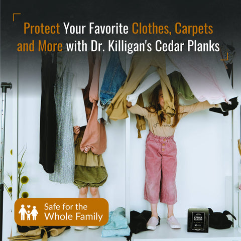 Dr. Killigan's plank beside a hanger for scale, demonstrates size and easy placement
