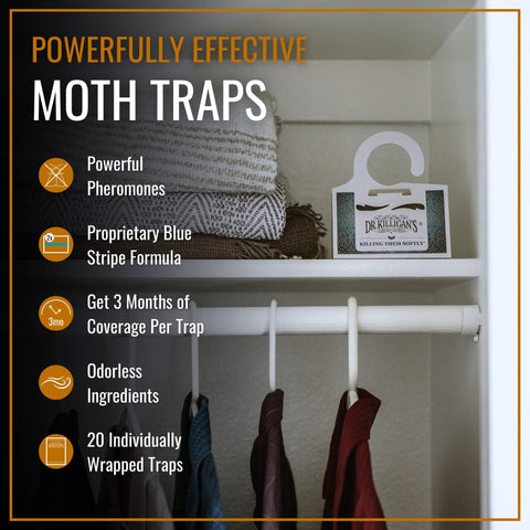 Dr. Killigan's trap placed near a rug baseboard reducing moth activity in carpets
