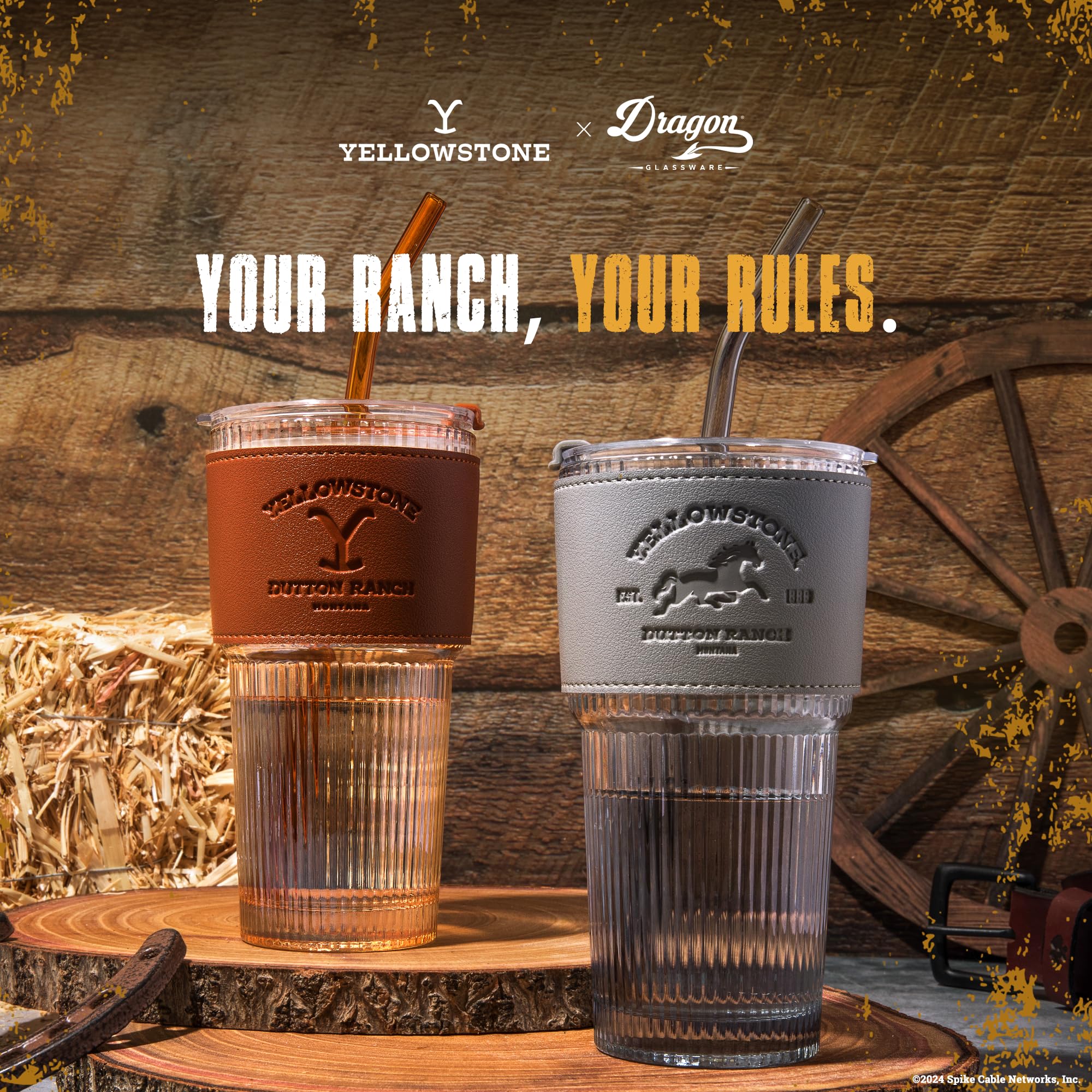 Dragon Glassware set on kitchen counter showing style and reusable beverage option