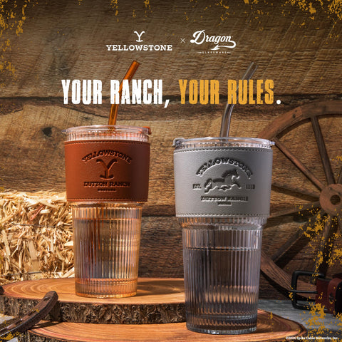 Dragon Glassware set on kitchen counter showing style and reusable beverage option