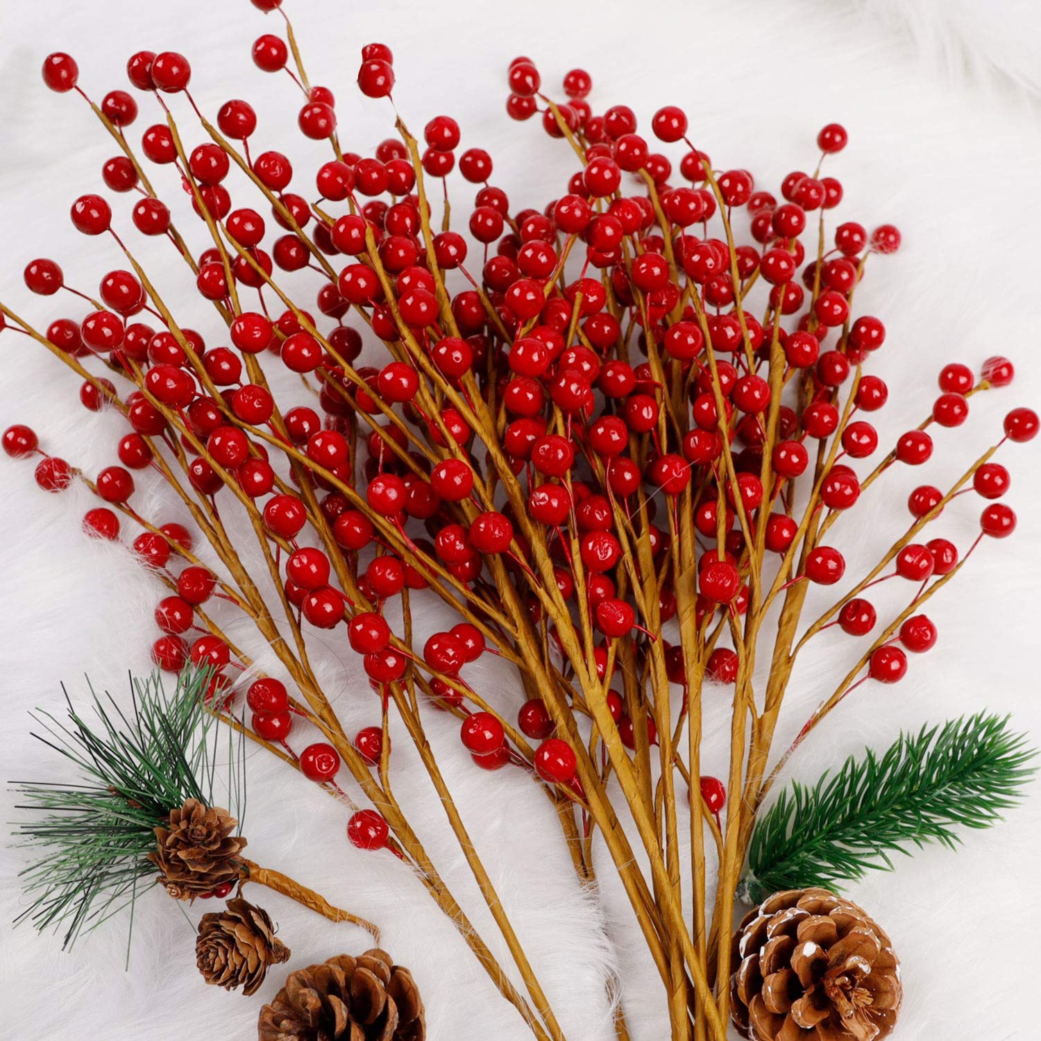 DR.DUDU front packaging view showing bright berries adding holiday color