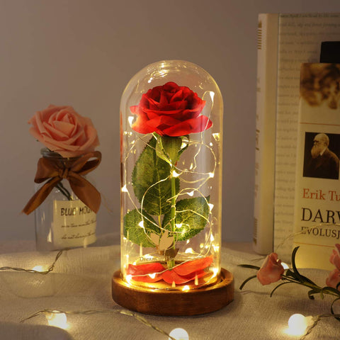 Dream of Flowers front view glass dome showing elegant display and gift readiness