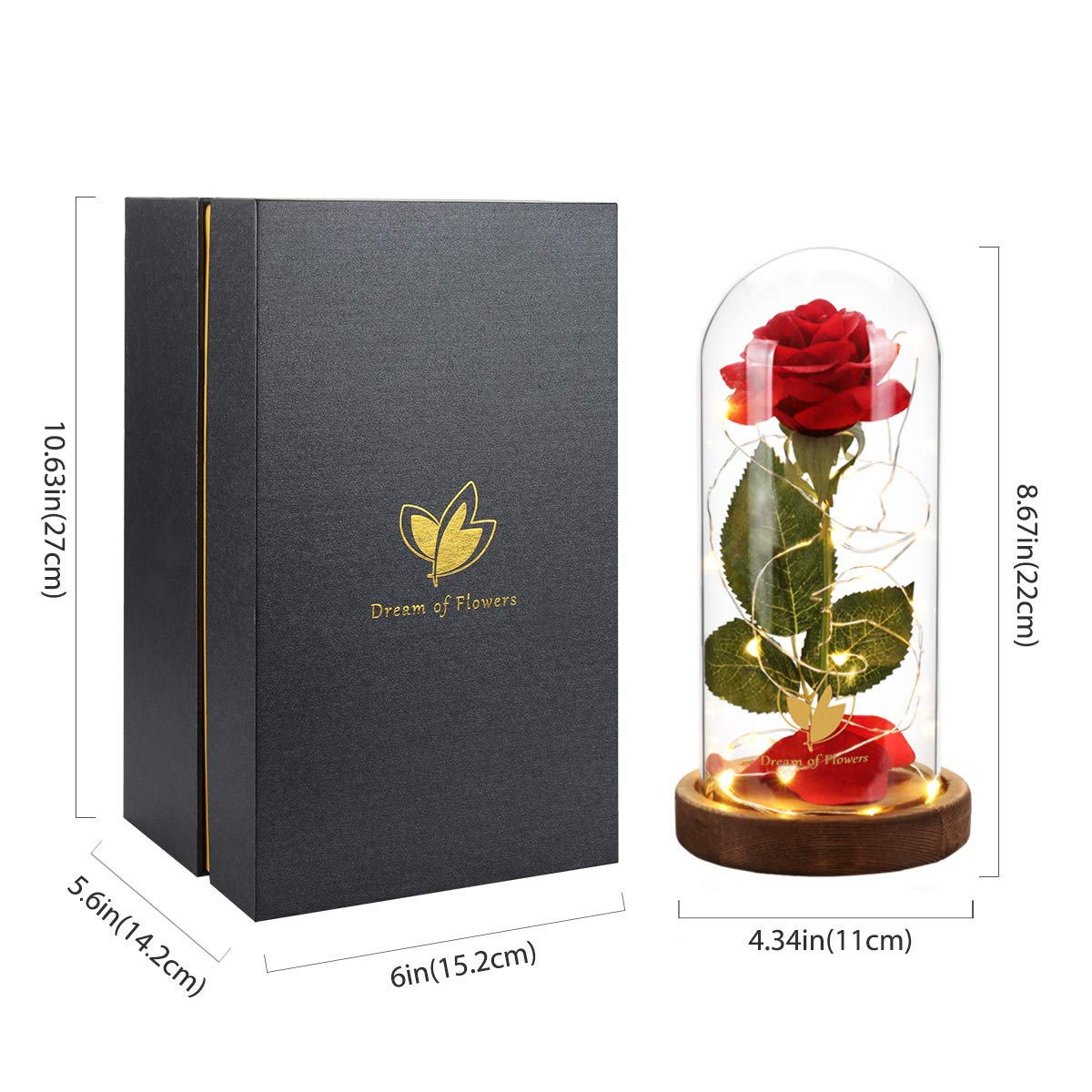 Dream of Flowers lit rose dome at night creating warm ambient lighting