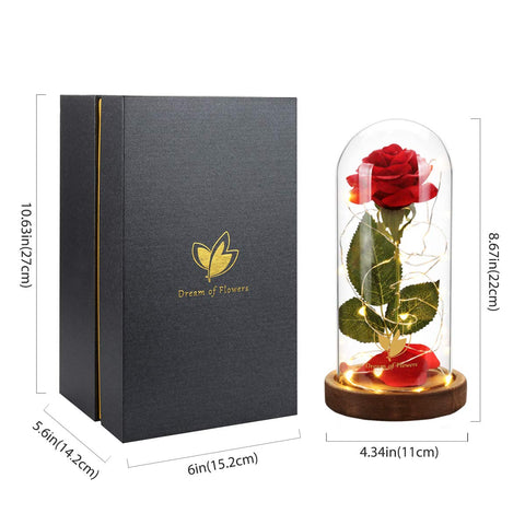 Dream of Flowers lit rose dome at night creating warm ambient lighting