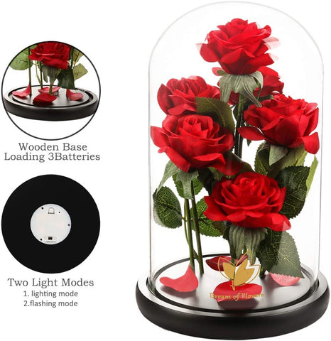 Dream of Flowers side profile dome protecting rose and preventing dust