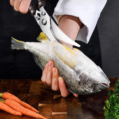 Dream Reach in kitchen prep scene demonstrating real-world versatility and speed