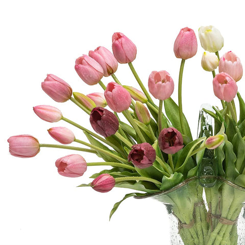 DUYONE tulip beside ruler showing scale and perfect fit for vases benefit