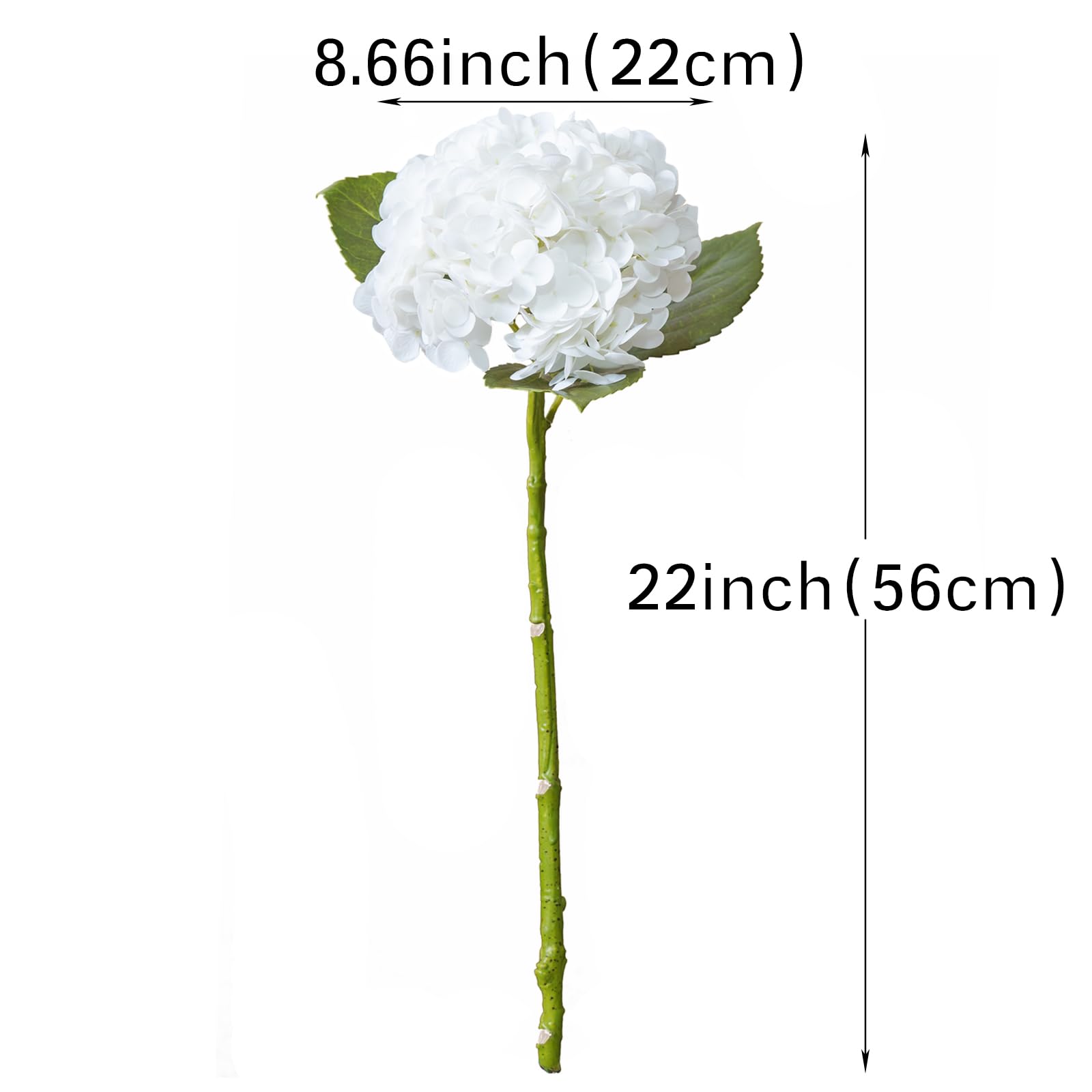 DUYONE stem and leaf detail highlighting bendable stem benefit