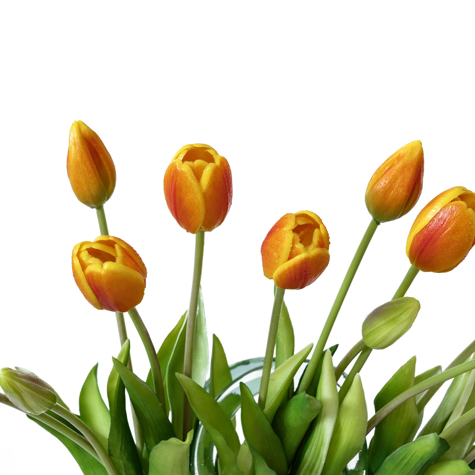 DUYONE tulip held by hand to show scale and true-to-life proportions