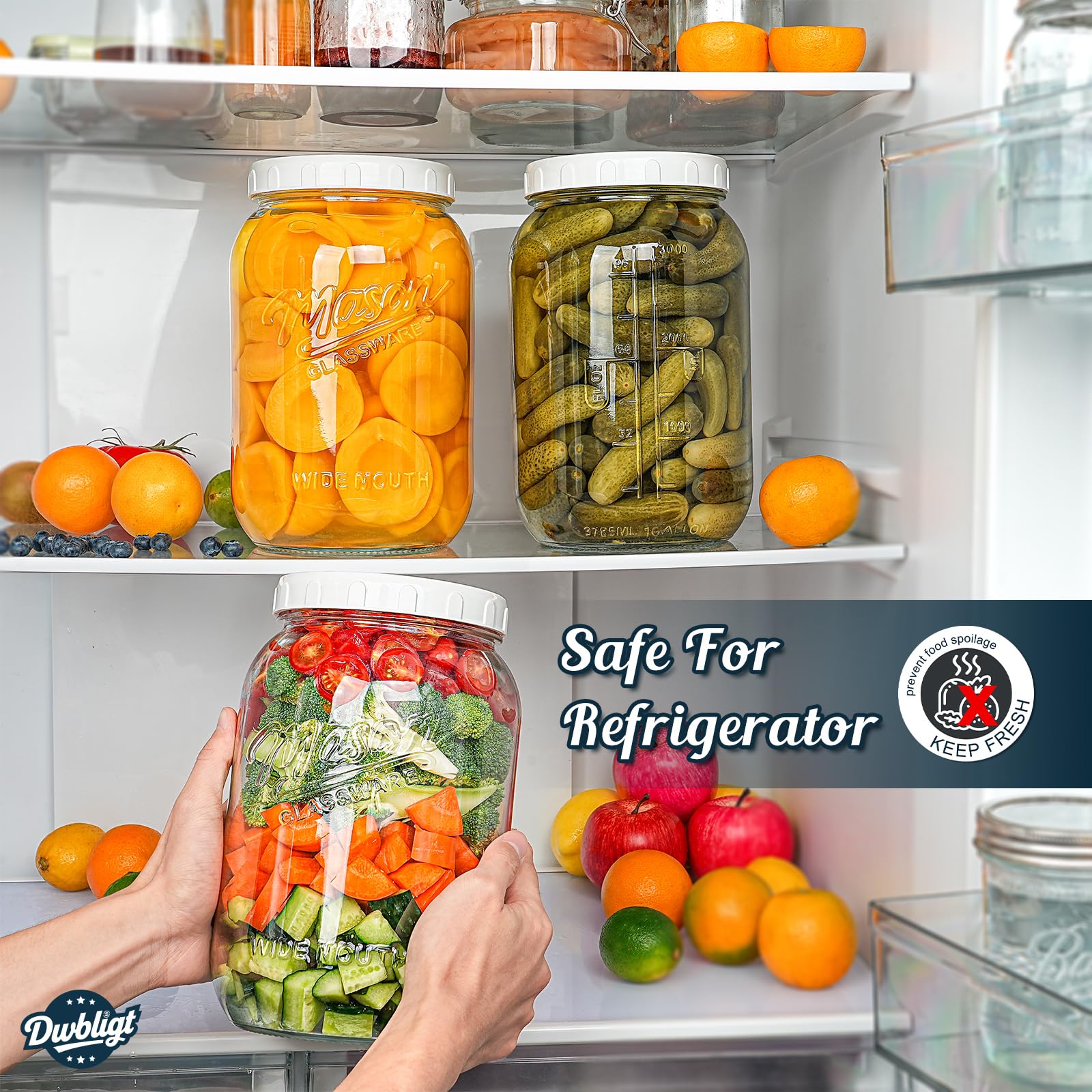 Dwbligt jar and lid placed in dishwasher showing easy cleaning and maintenance benefit