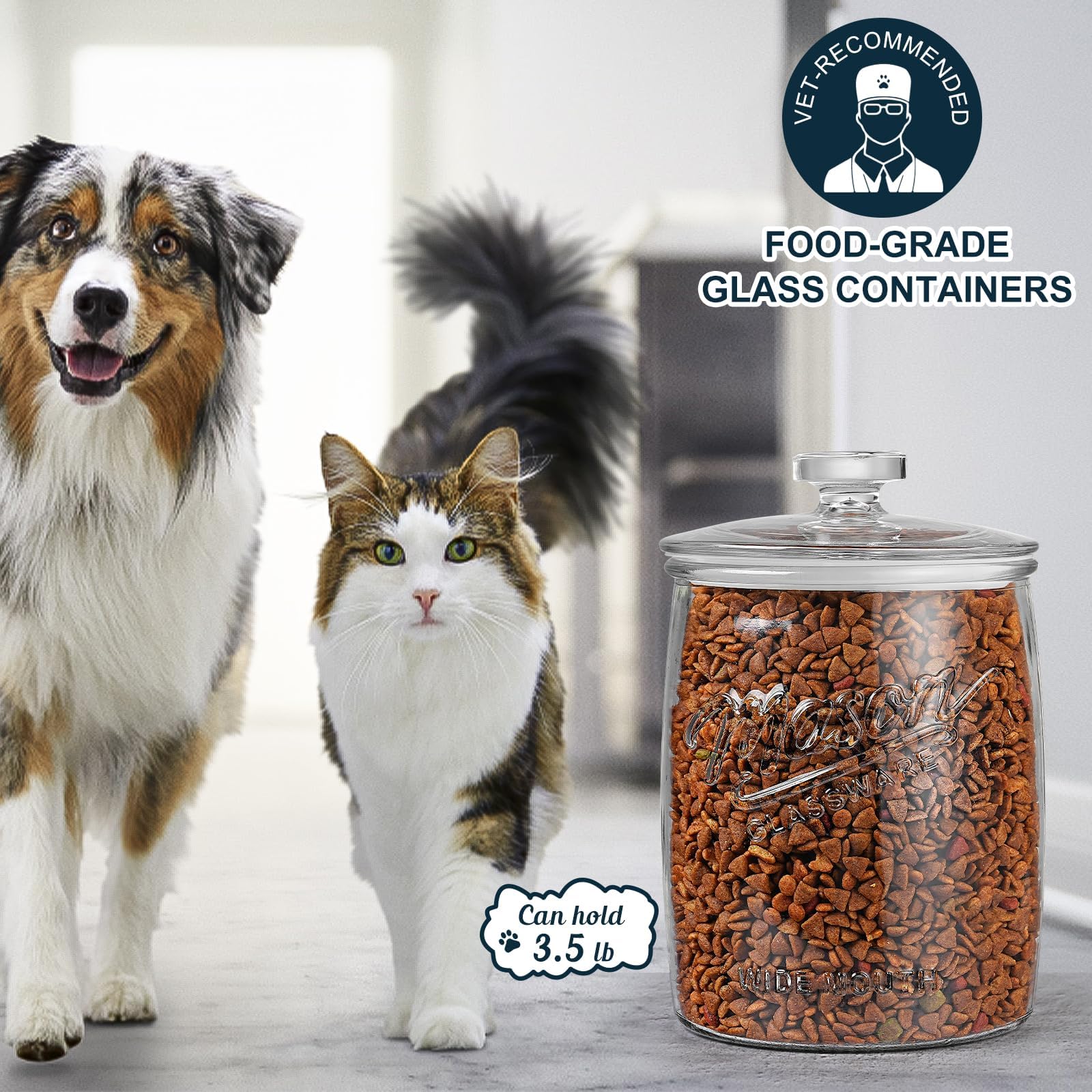 Dwbligt jar in use holding cookies on kitchen counter for organized storage