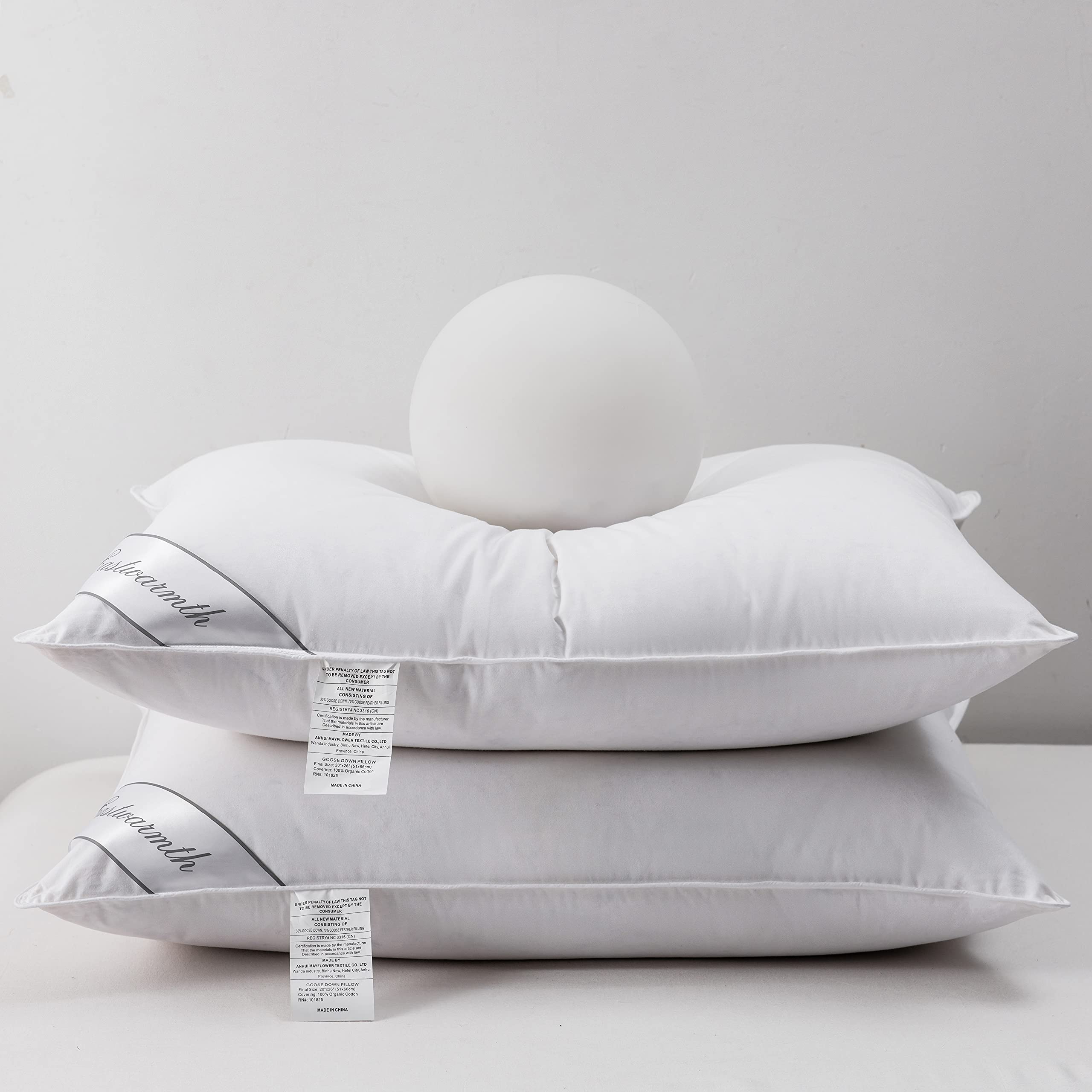 Eastwarmth front view of two packaged pillows showing clean hotel-style presentation and protection