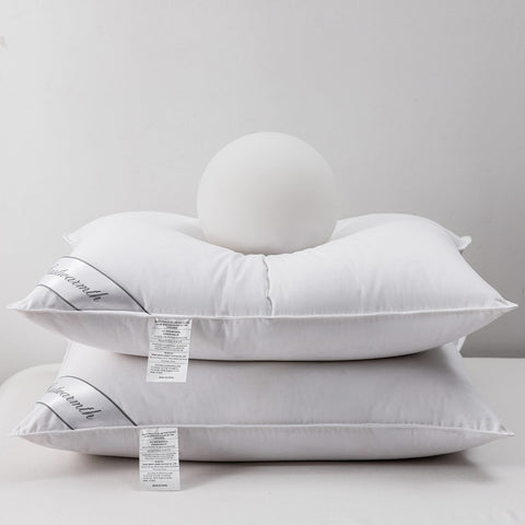 Eastwarmth front view of two packaged pillows showing clean hotel-style presentation and protection