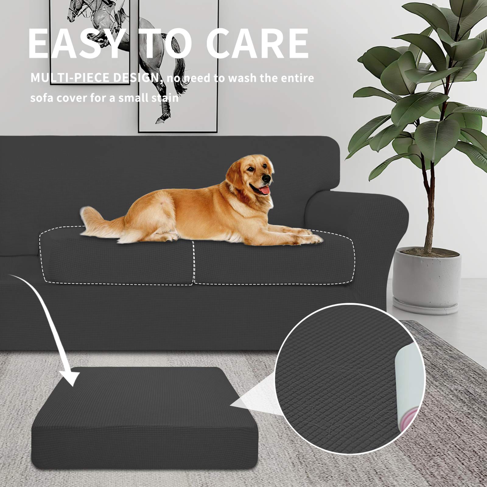 Easy-Going cover on sofa with dog showing pet-friendly protection benefit