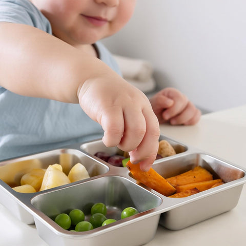 EC-Gaze open container revealing four equal compartments for neat portioning