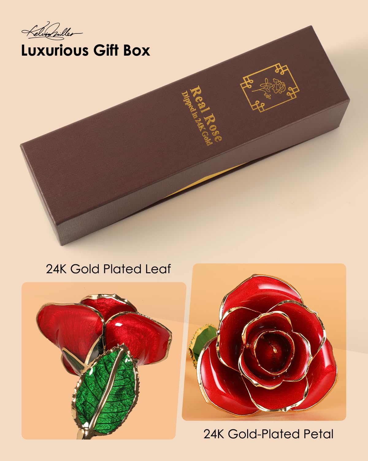 ECO SPACE rose displayed on clear acrylic stand for elegant presentation