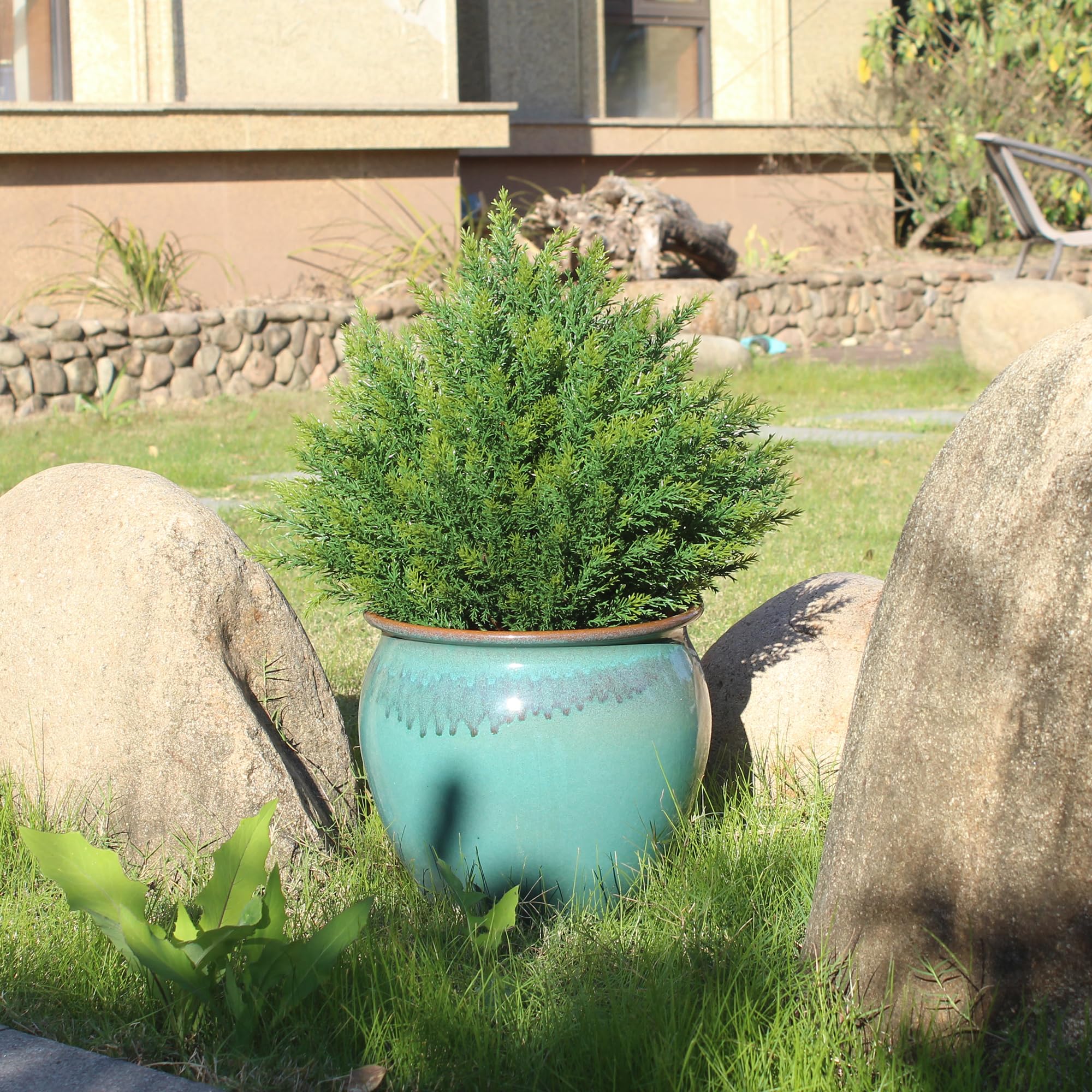 ECOLVANT close-up of leaves highlighting realistic texture and lifelike look