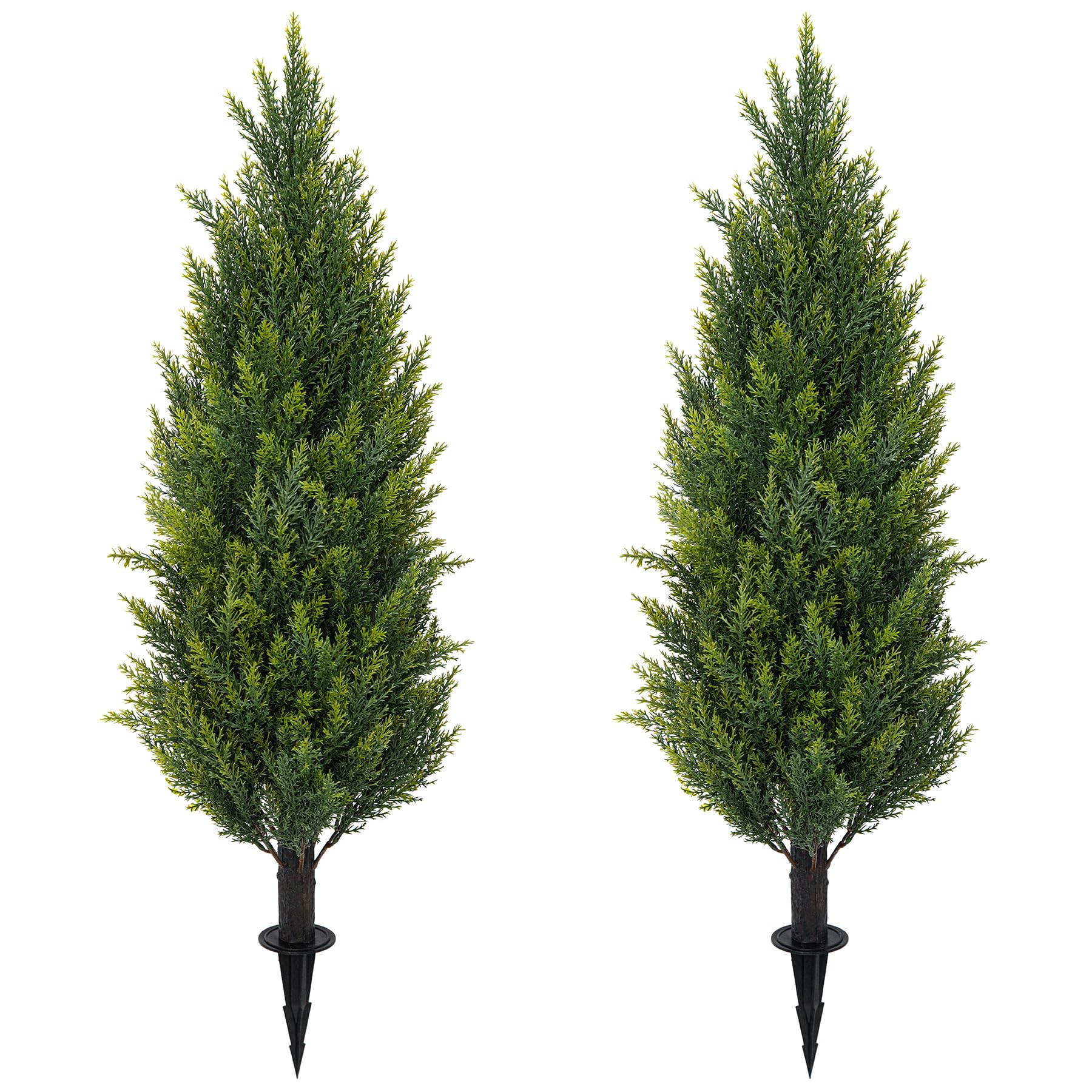 ECOLVANT front view of two cedar topiary trees showing neat entrance symmetry