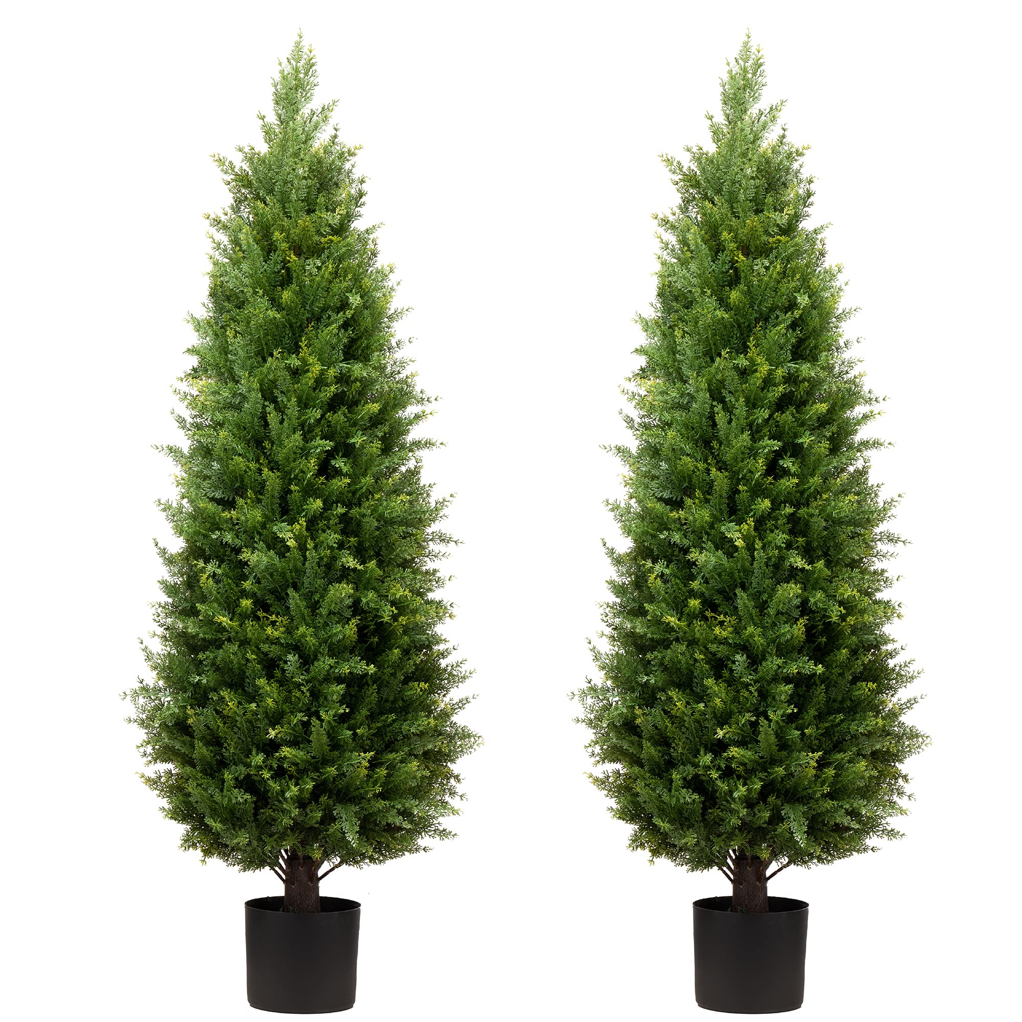 ECOLVANT pair front view showing ready-potted trees and curb appeal