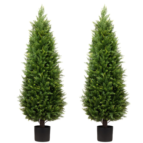 ECOLVANT pair front view showing ready-potted trees and curb appeal