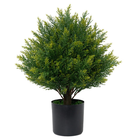 ECOLVANT front view of 19-inch topiary showing neat shape and curb appeal
