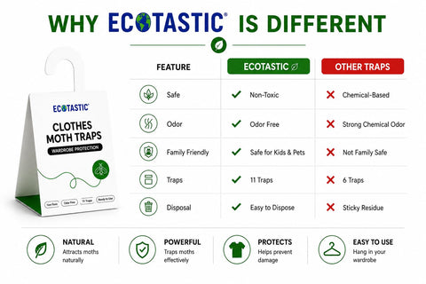 ECOTASTIC trap positioned near rug edge protecting carpets from larvae